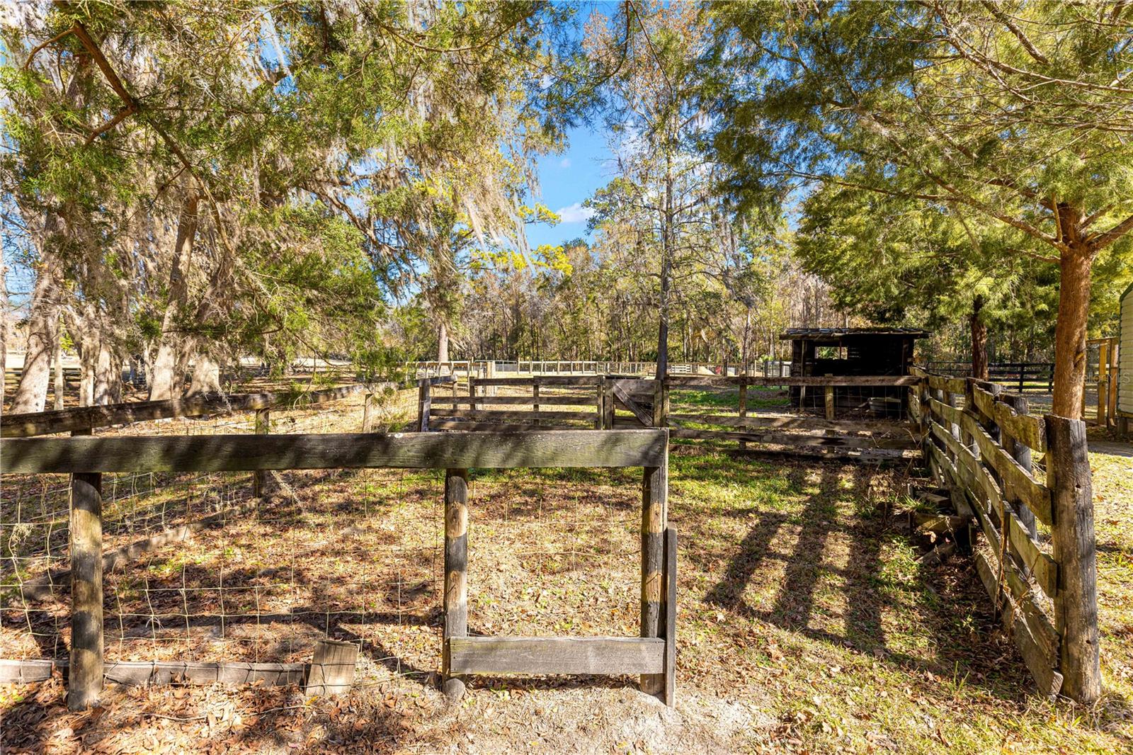 9145 NW 193 ST, MICANOPY, FL, 32667