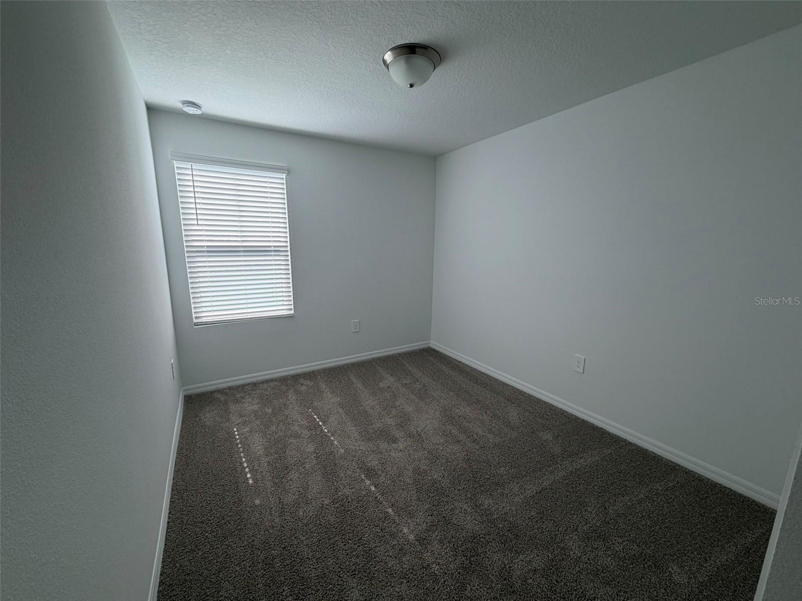 16462 BIRD OF PARADISE AVE, CLERMONT, FL, 34714