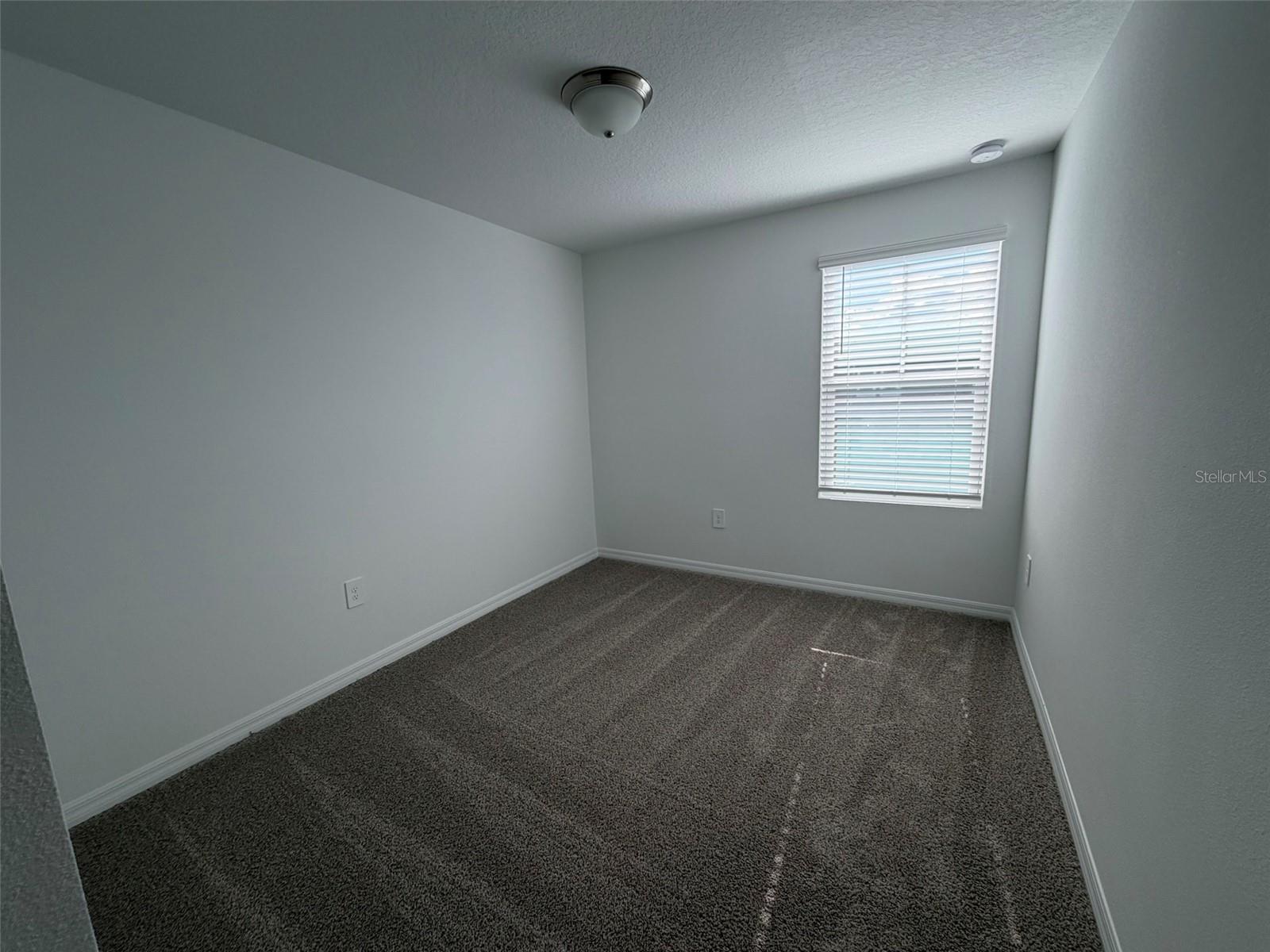 16462 BIRD OF PARADISE AVE, CLERMONT, FL, 34714