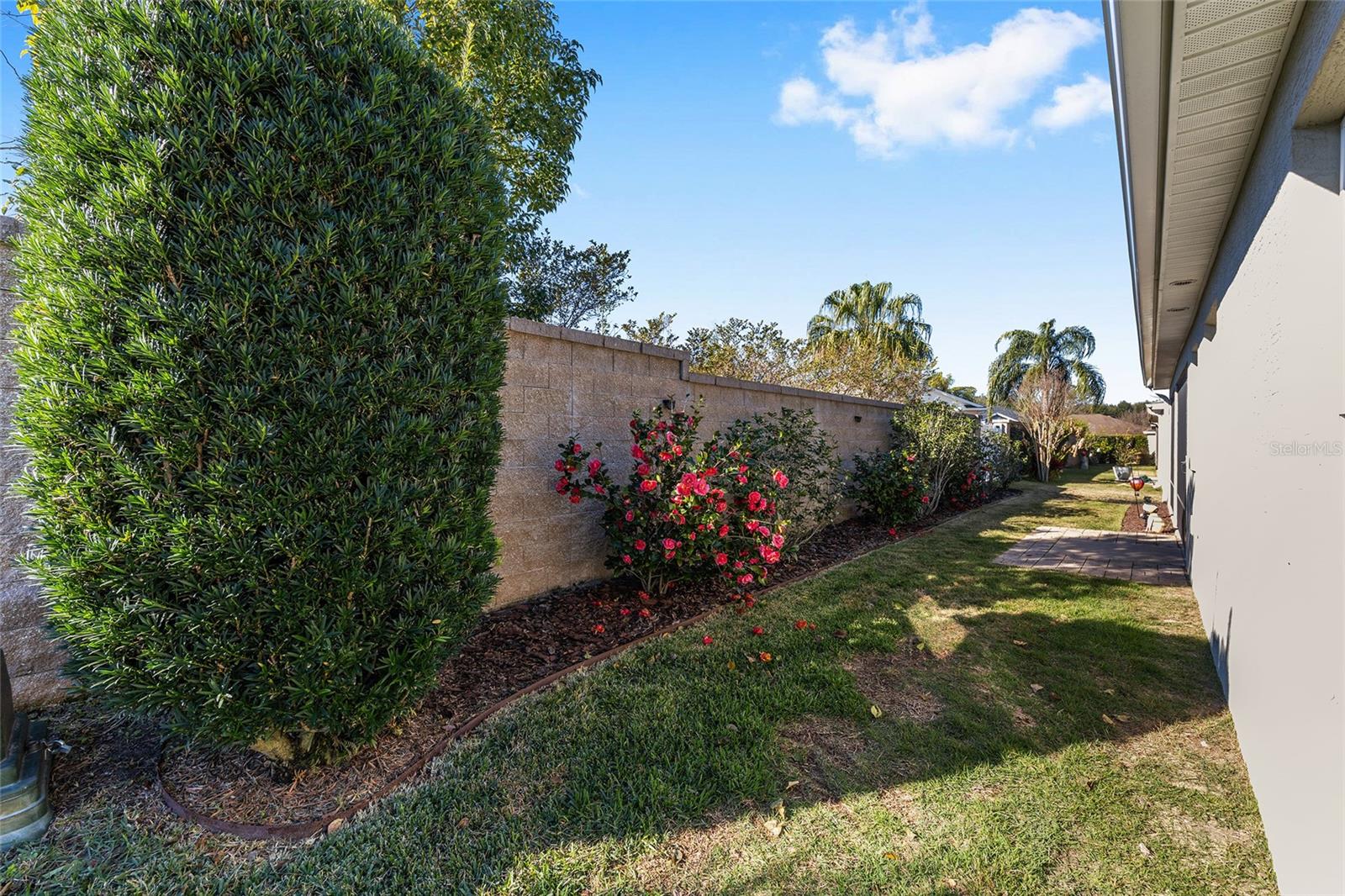 2344 BACHMAN PATH, THE VILLAGES, FL, 32162
