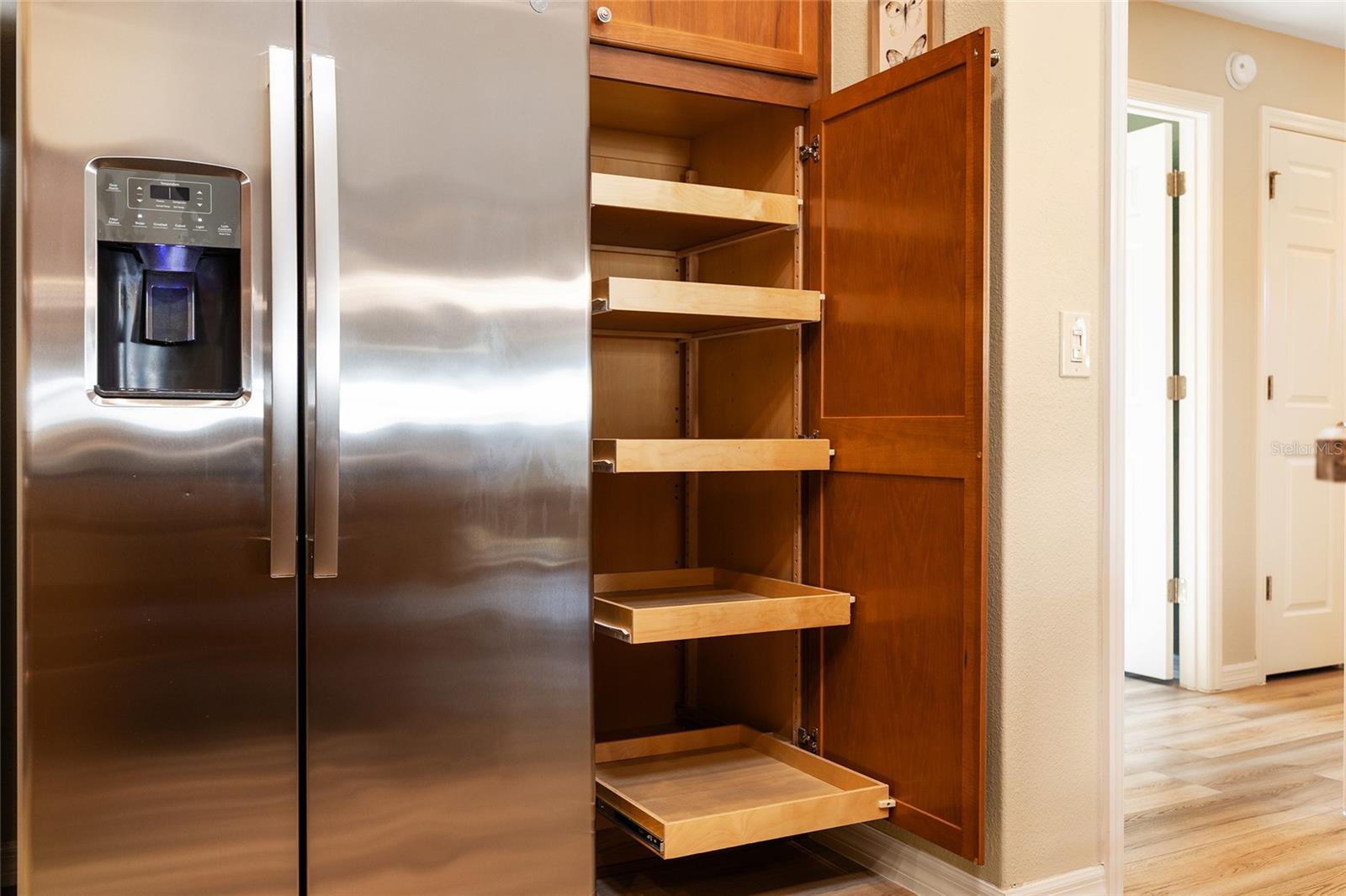 2344 BACHMAN PATH, THE VILLAGES, FL, 32162