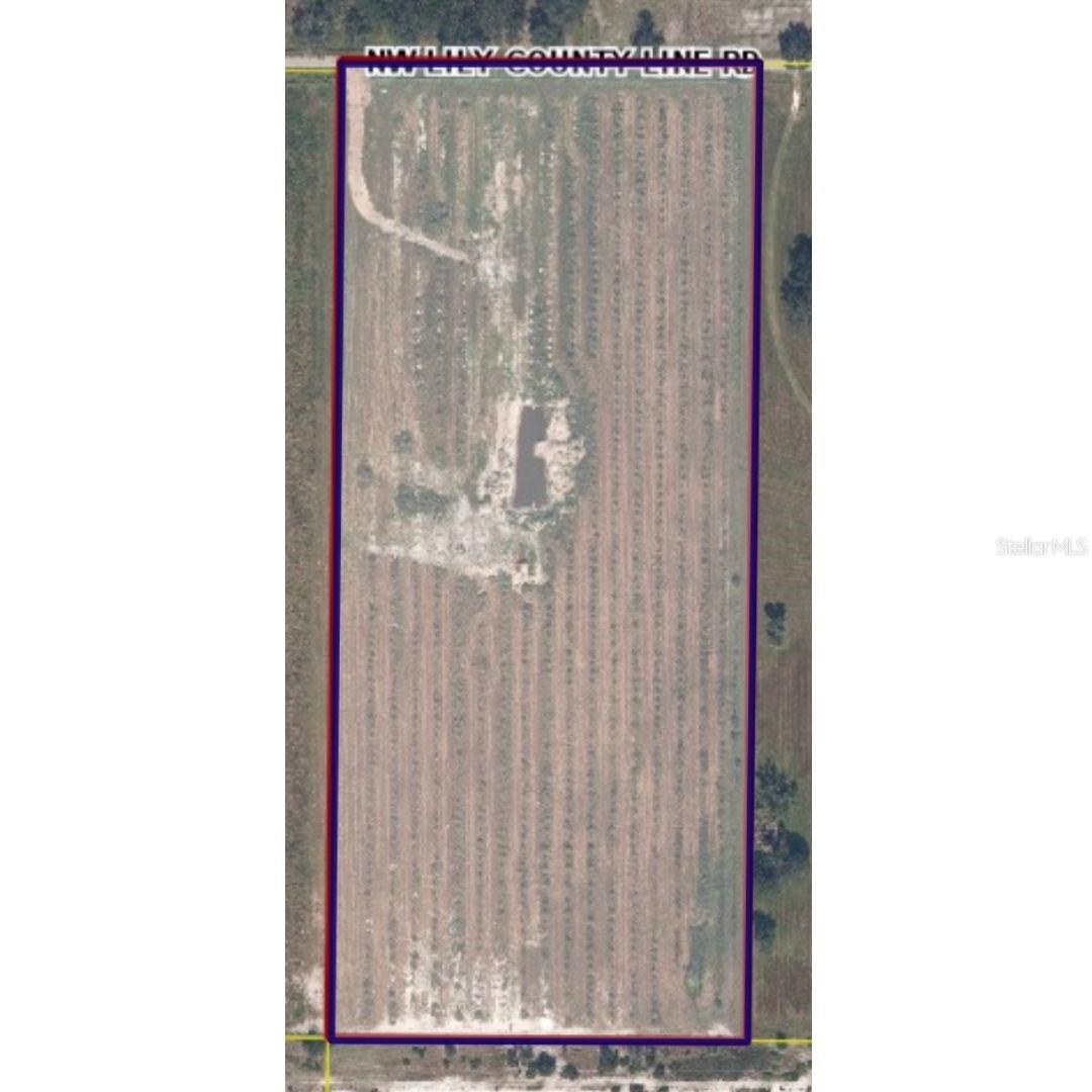 8153 LILY CO RD, ARCADIA, FL, 34266