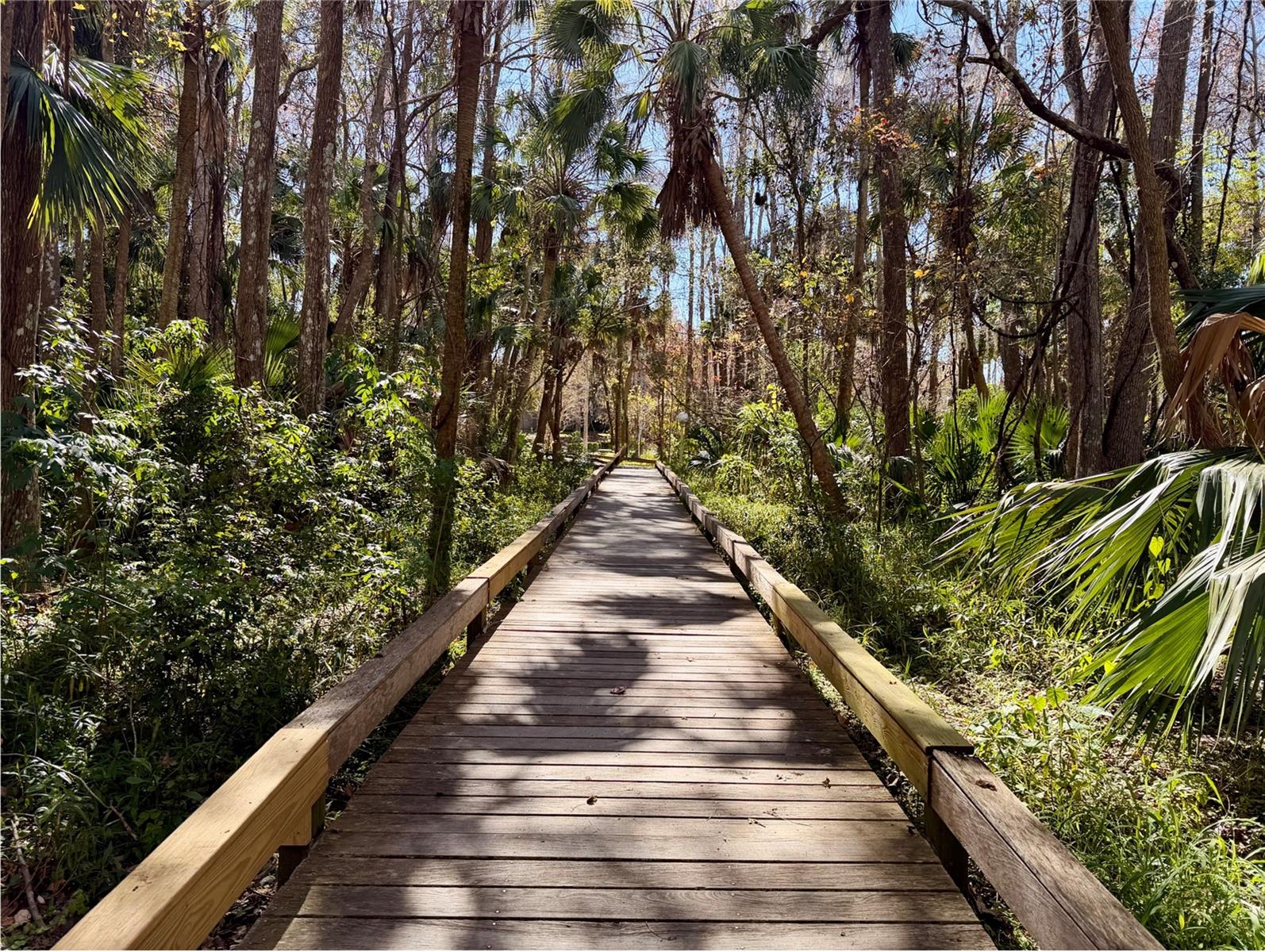 217 TOMOKA TRL #217, LONGWOOD, FL, 32779