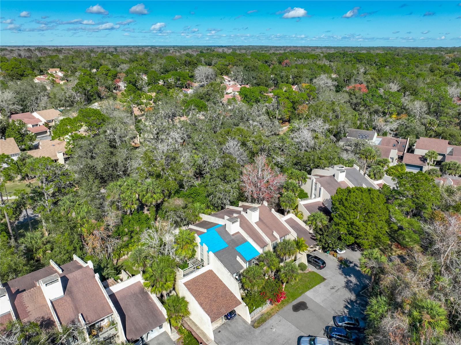 217 TOMOKA TRL #217, LONGWOOD, FL, 32779