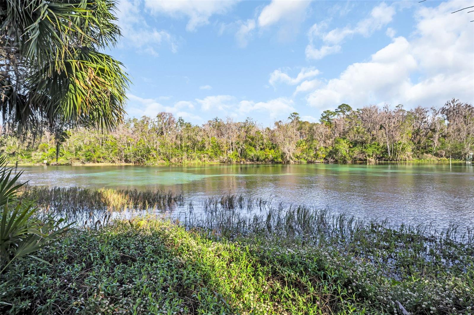 8371 SW 197TH CT, DUNNELLON, FL, 34432