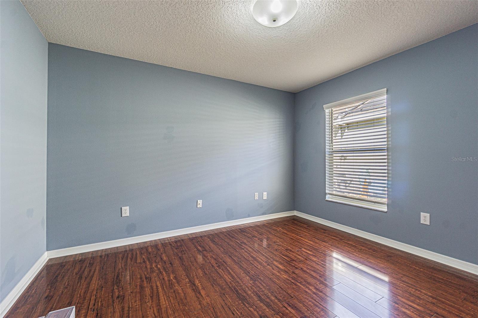 12804 BIG SUR DR, TAMPA, FL, 33625