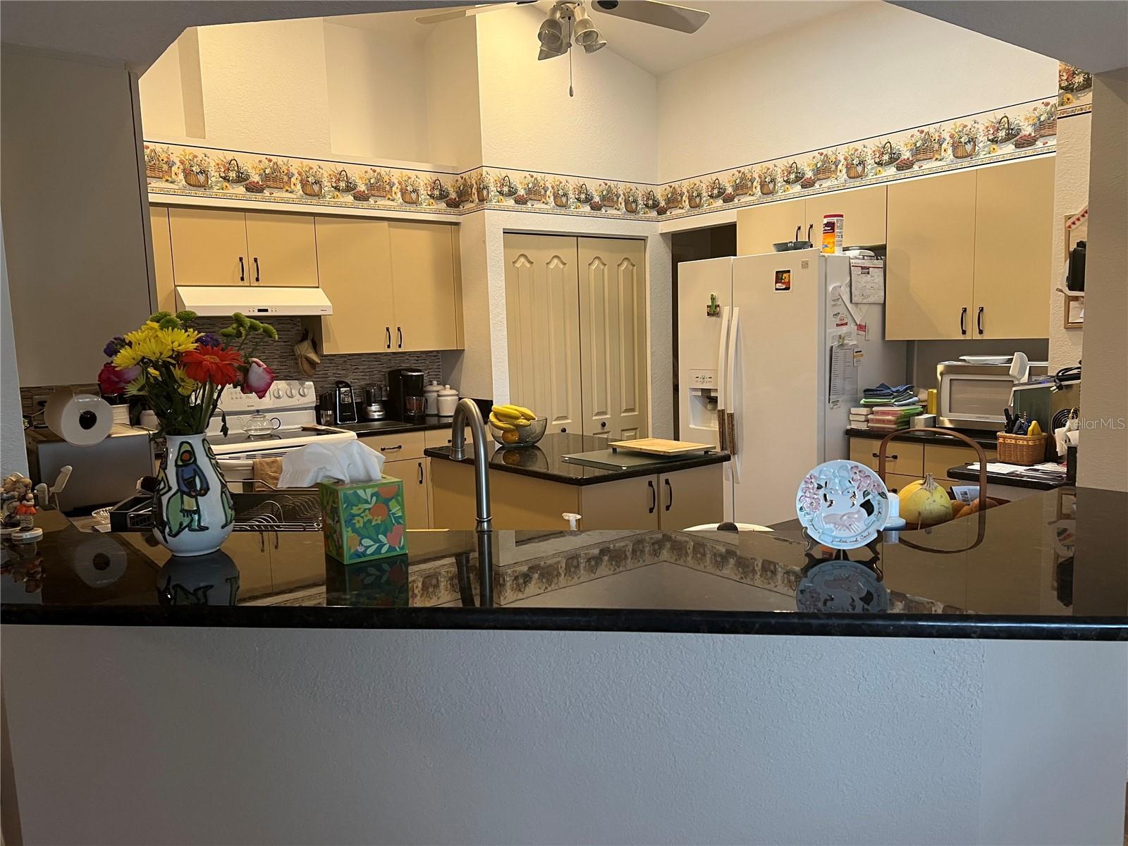 24 BROADMOOR LN, ROTONDA WEST, FL, 33947