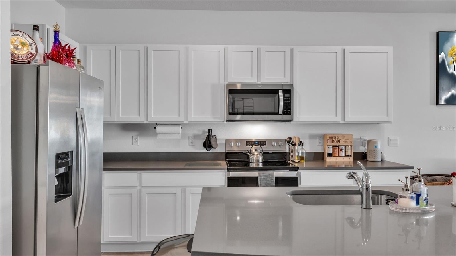 3532 WHITE DANDELION CT, PLANT CITY, FL, 33565