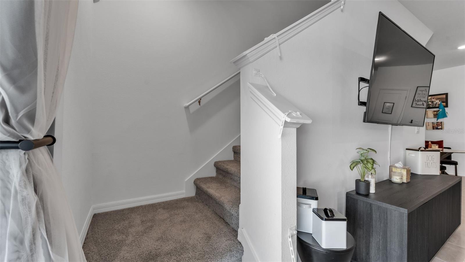 3532 WHITE DANDELION CT, PLANT CITY, FL, 33565