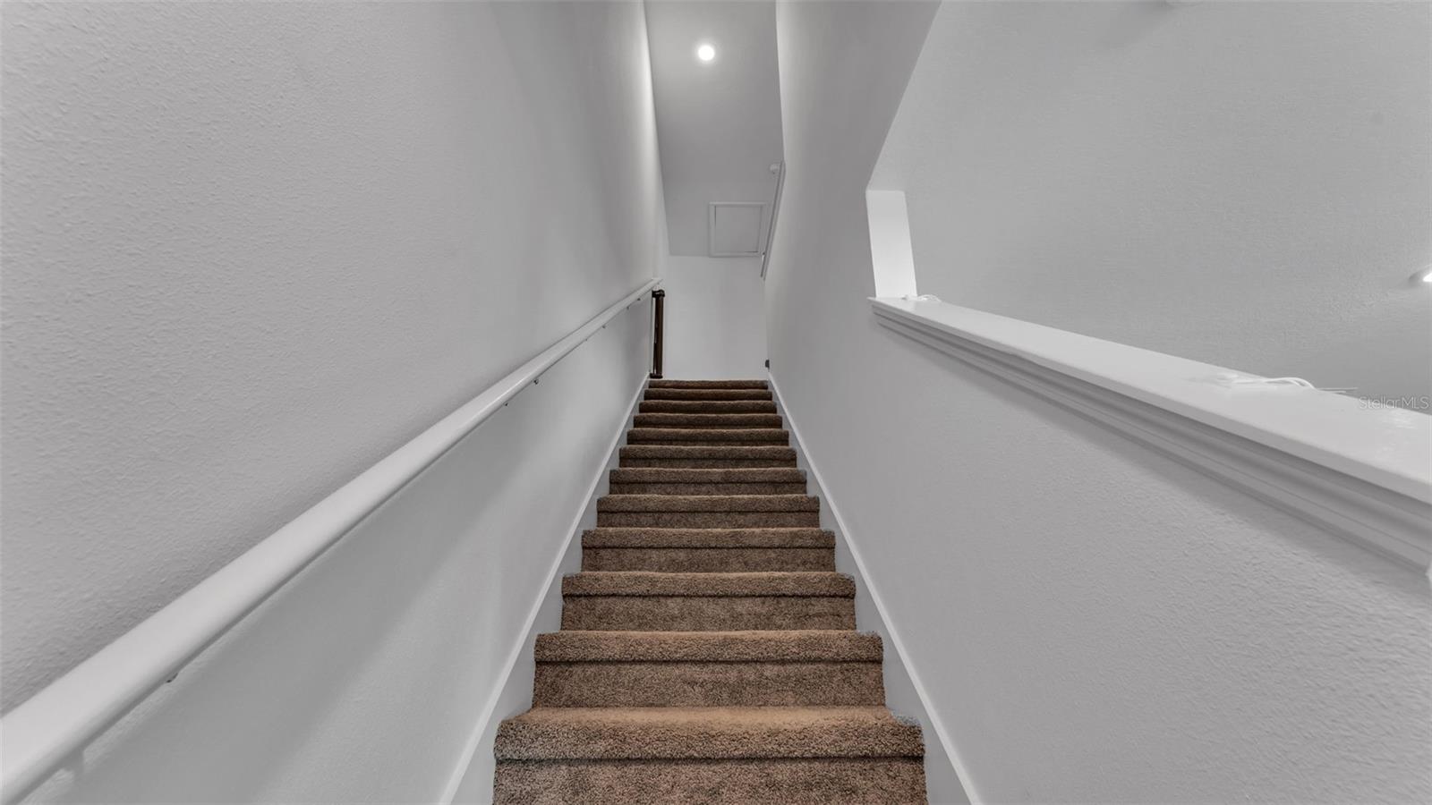 3532 WHITE DANDELION CT, PLANT CITY, FL, 33565