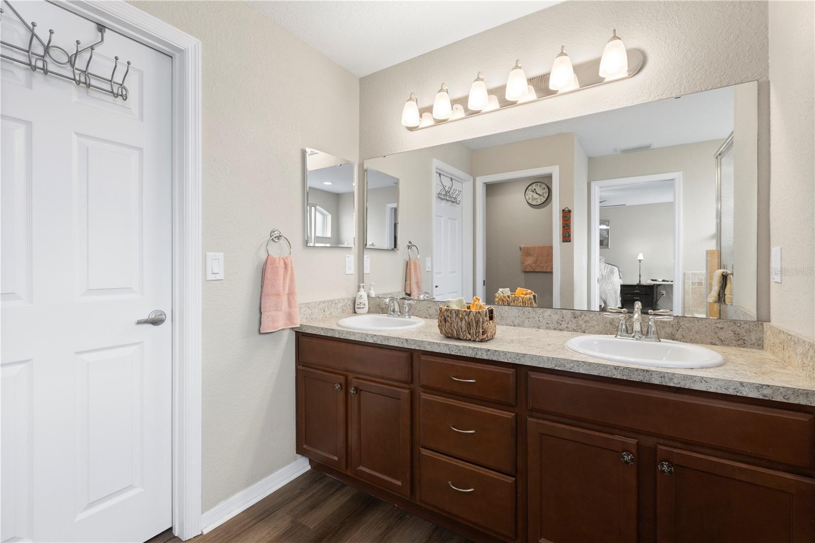 719 VINEYARD RESERVE CT, SEFFNER, FL, 33584