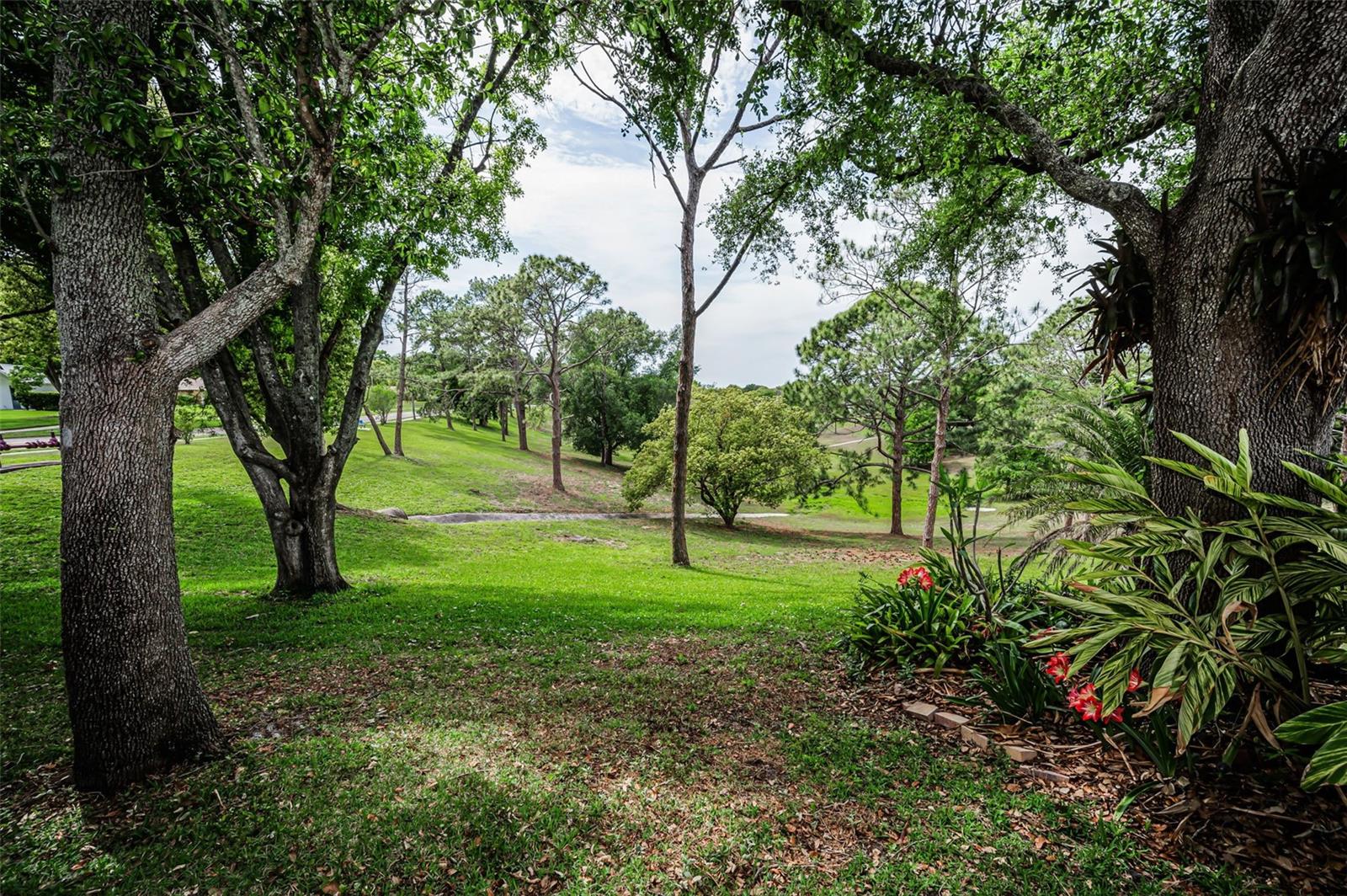 Sweeping Retention Area Views