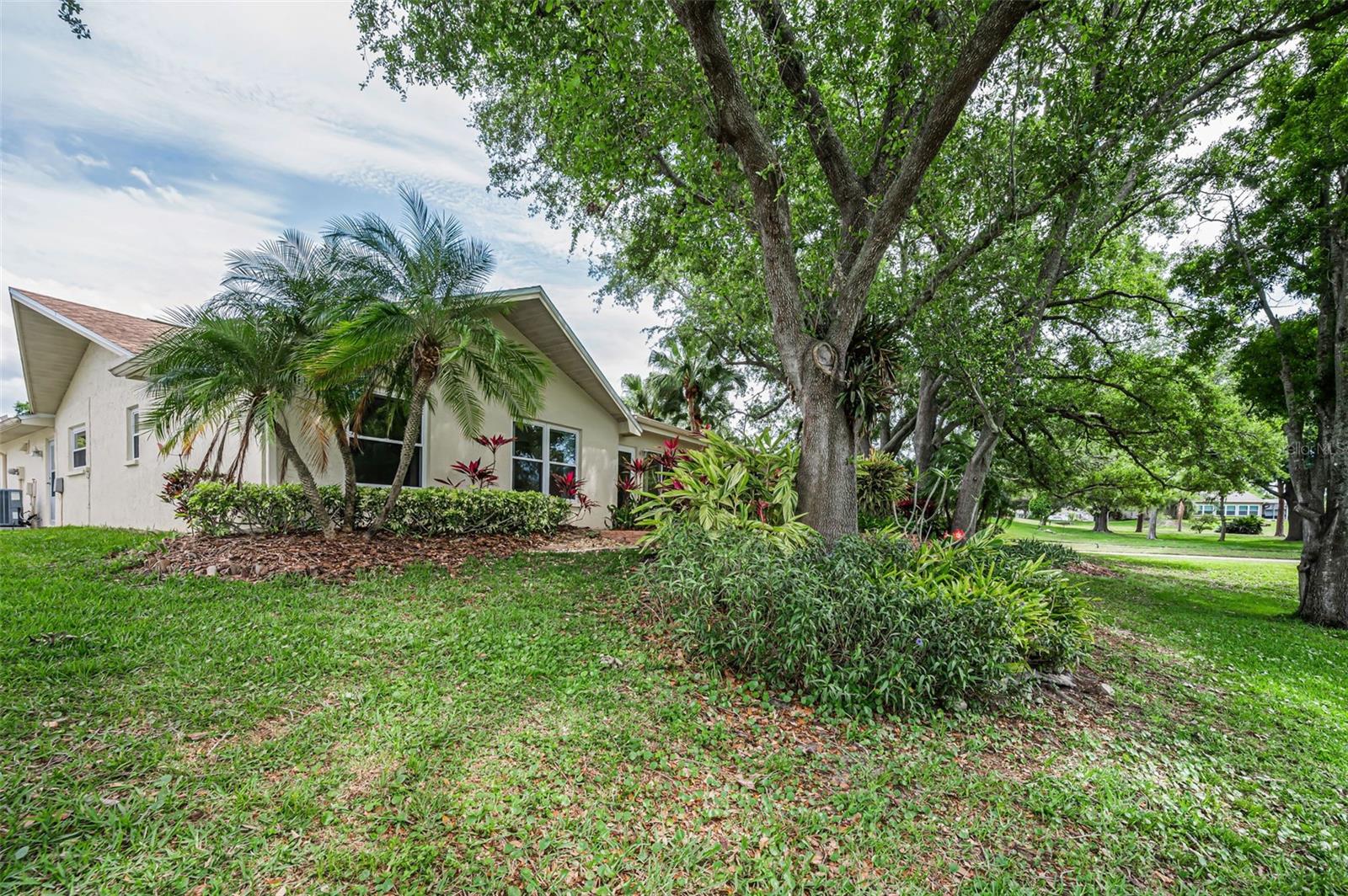 Attractive Landscaping