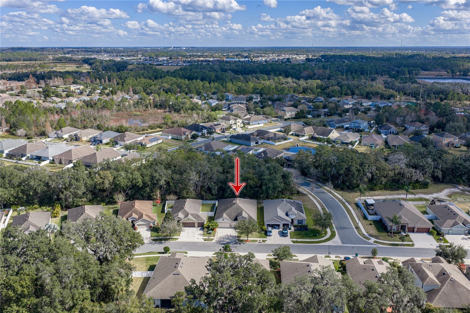 6414 Doe Path Ct, Wesley Chapel, FL 33545