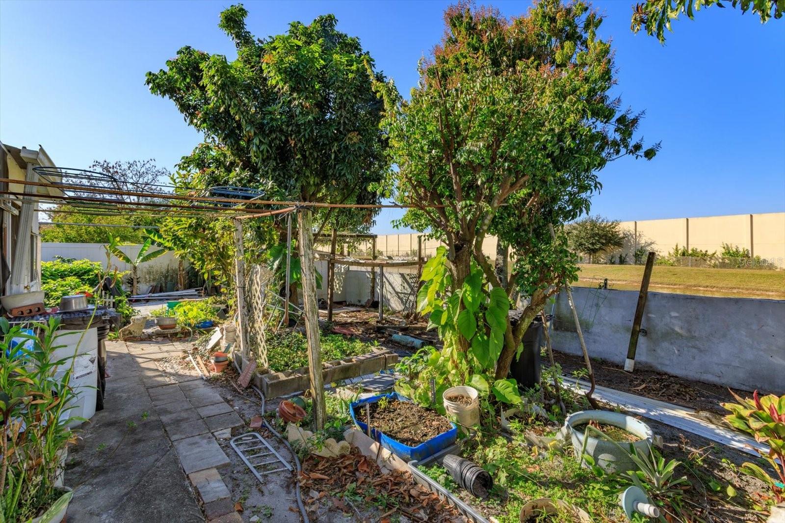 566 WECHSLER CIR, ORLANDO, FL, 32824