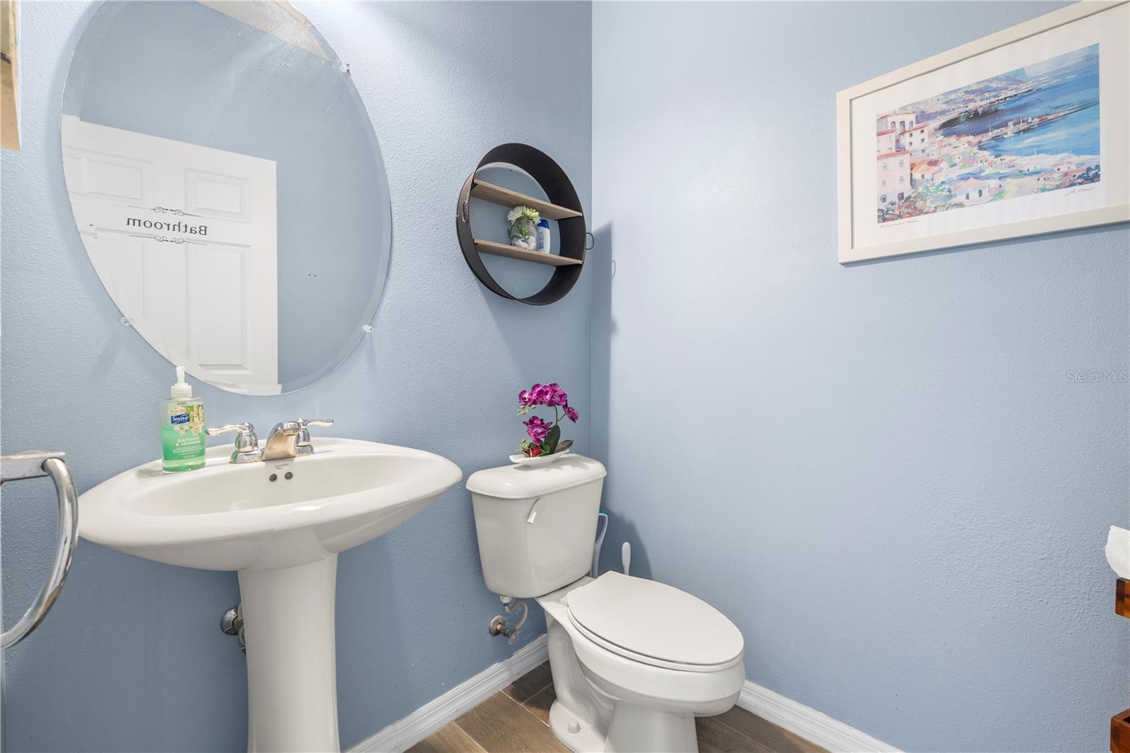 1565 FEATHER GRASS LOOP, LUTZ, FL, 33558