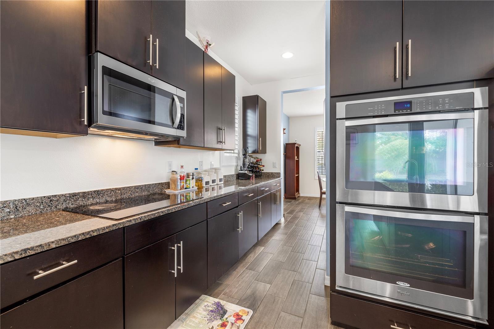 1565 FEATHER GRASS LOOP, LUTZ, FL, 33558