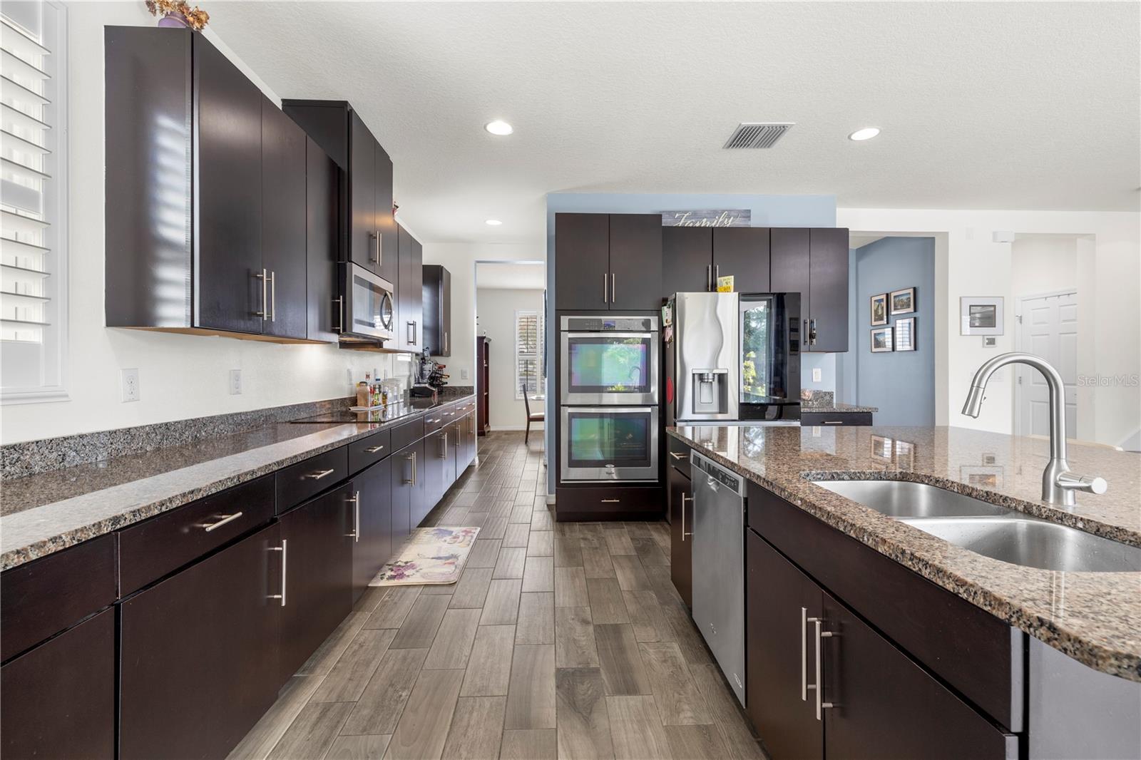 1565 FEATHER GRASS LOOP, LUTZ, FL, 33558