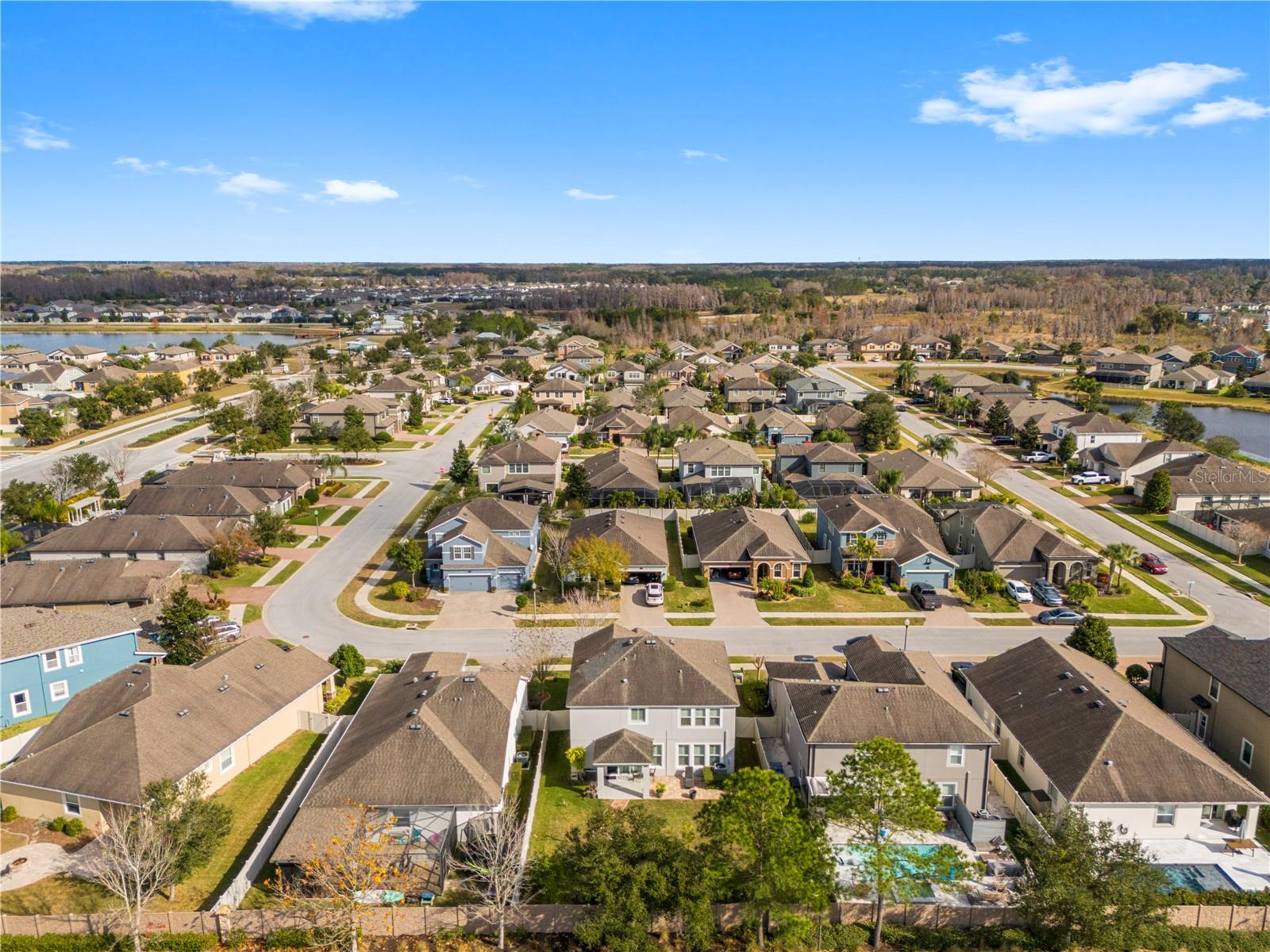 1565 FEATHER GRASS LOOP, LUTZ, FL, 33558