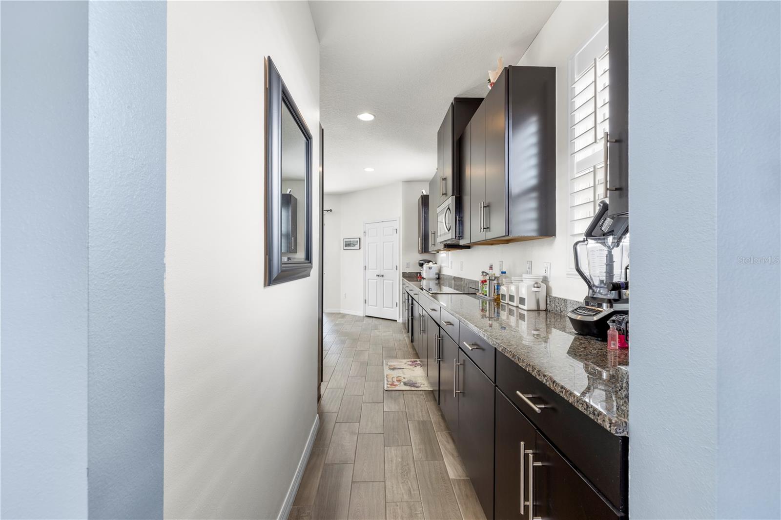 1565 FEATHER GRASS LOOP, LUTZ, FL, 33558