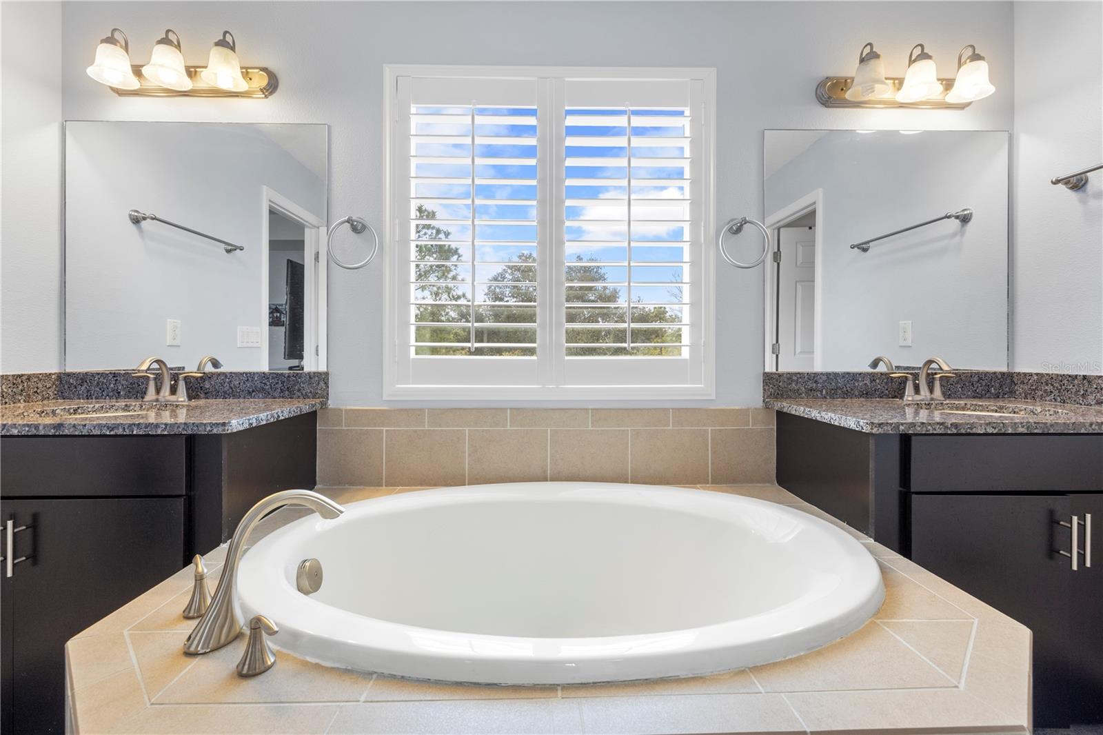 1565 FEATHER GRASS LOOP, LUTZ, FL, 33558