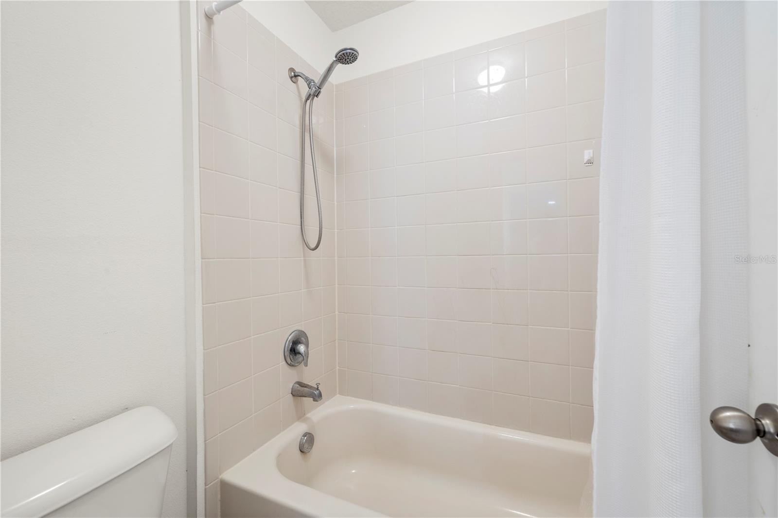 1565 FEATHER GRASS LOOP, LUTZ, FL, 33558