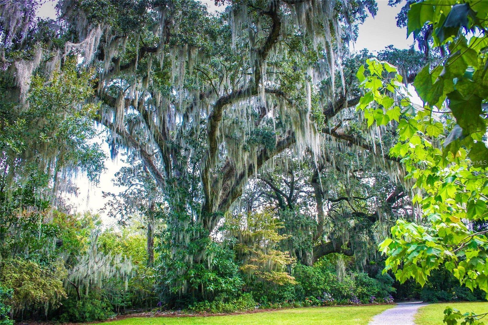 537 N POLLARD, OAKLAND, FL, 34787