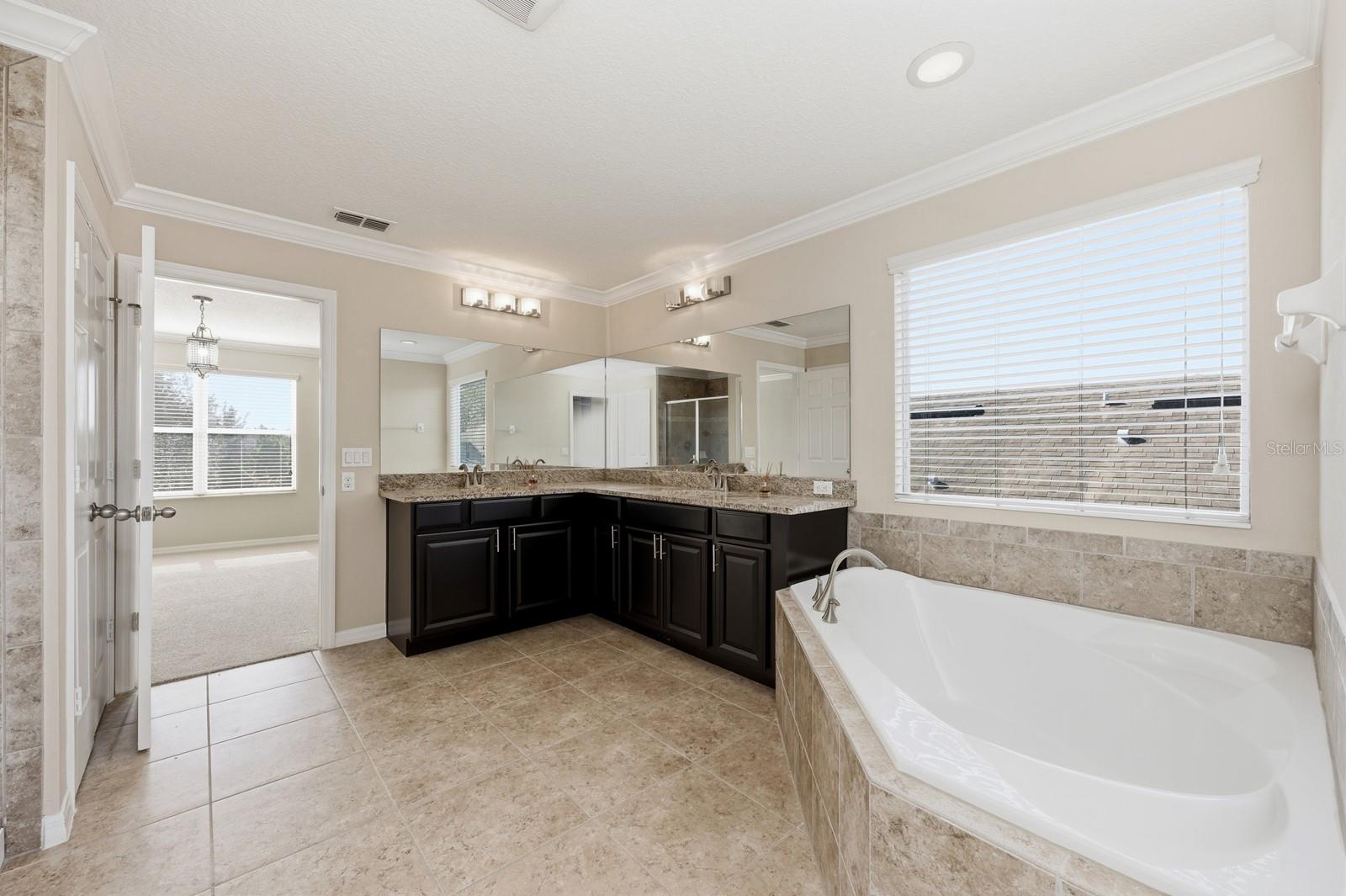 10954 HIGH BUSH CT, ORLANDO, FL, 32825