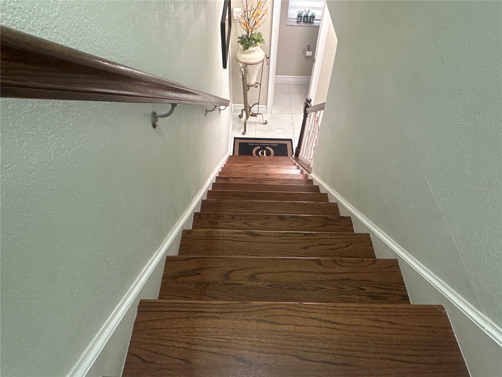 7009 SALINAS CT, TAMPA, FL, 33634