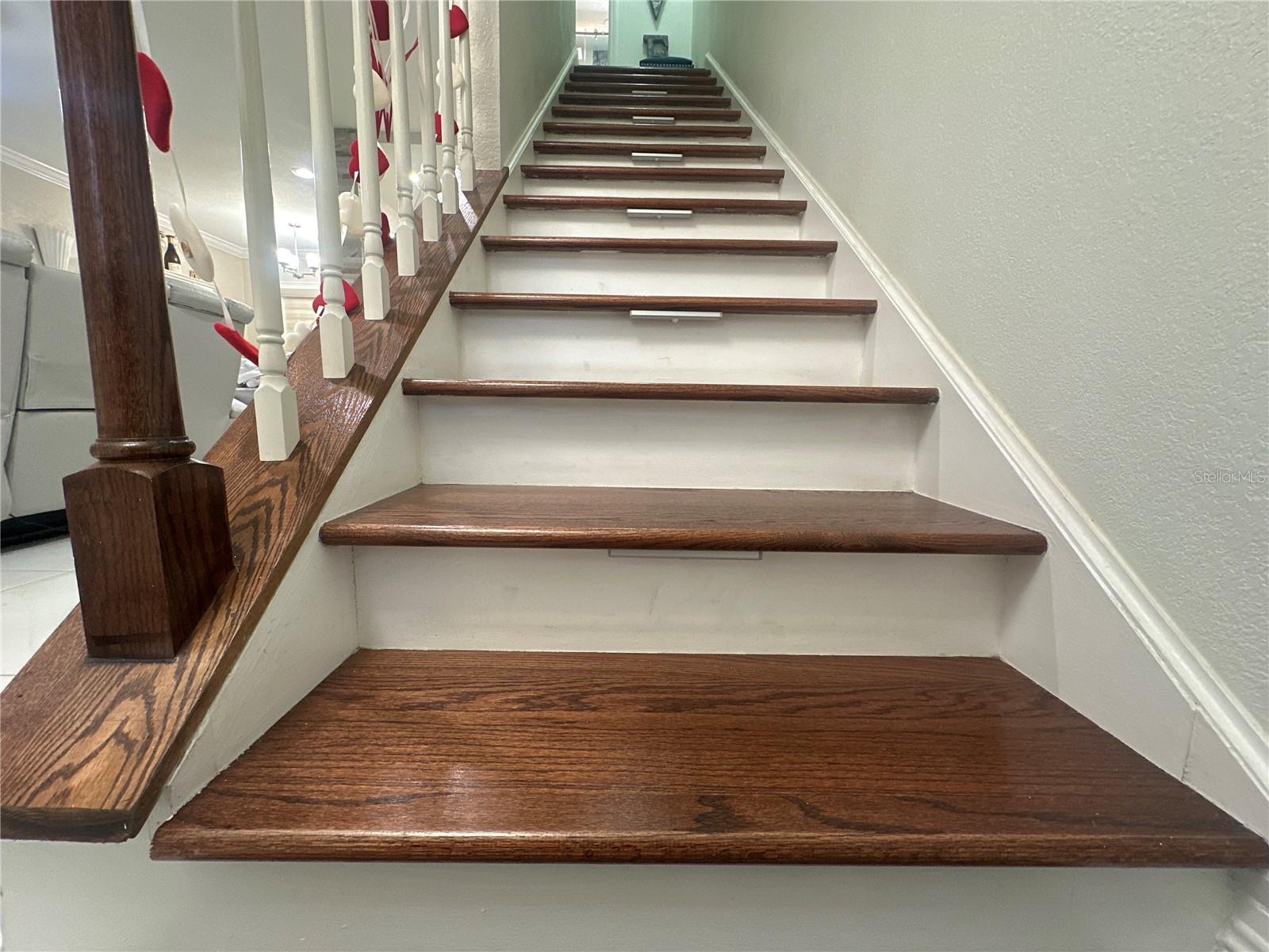 7009 SALINAS CT, TAMPA, FL, 33634