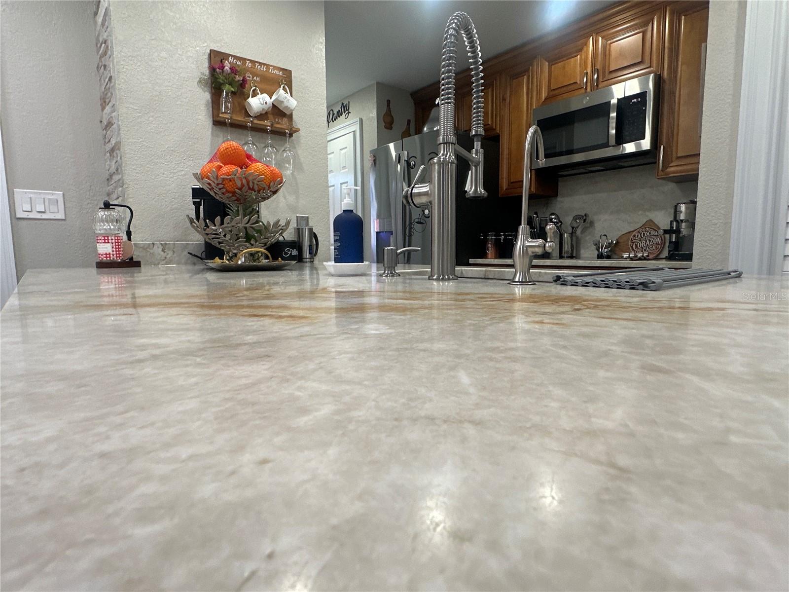 7009 SALINAS CT, TAMPA, FL, 33634