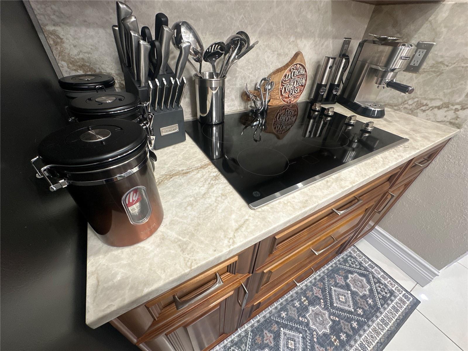 7009 SALINAS CT, TAMPA, FL, 33634