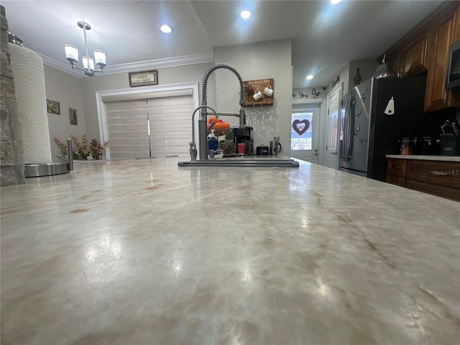 7009 SALINAS CT, TAMPA, FL, 33634