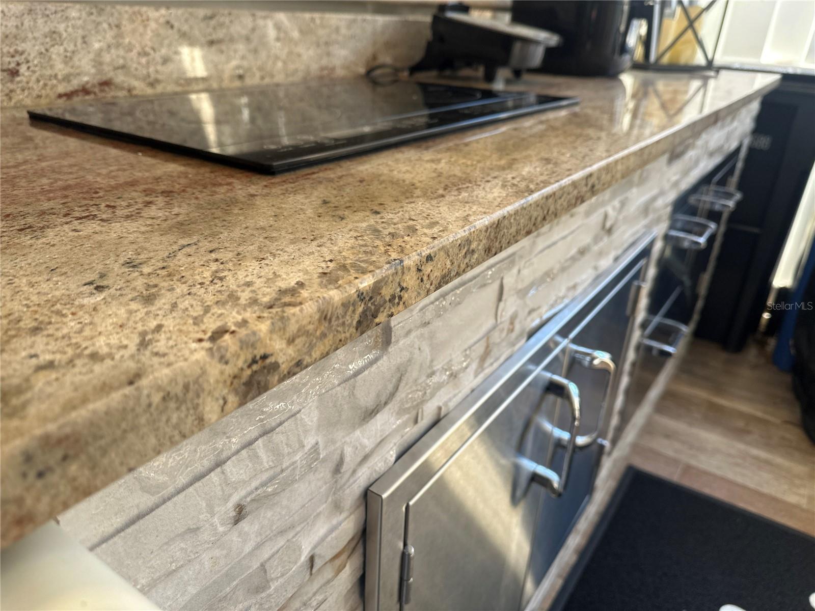 7009 SALINAS CT, TAMPA, FL, 33634