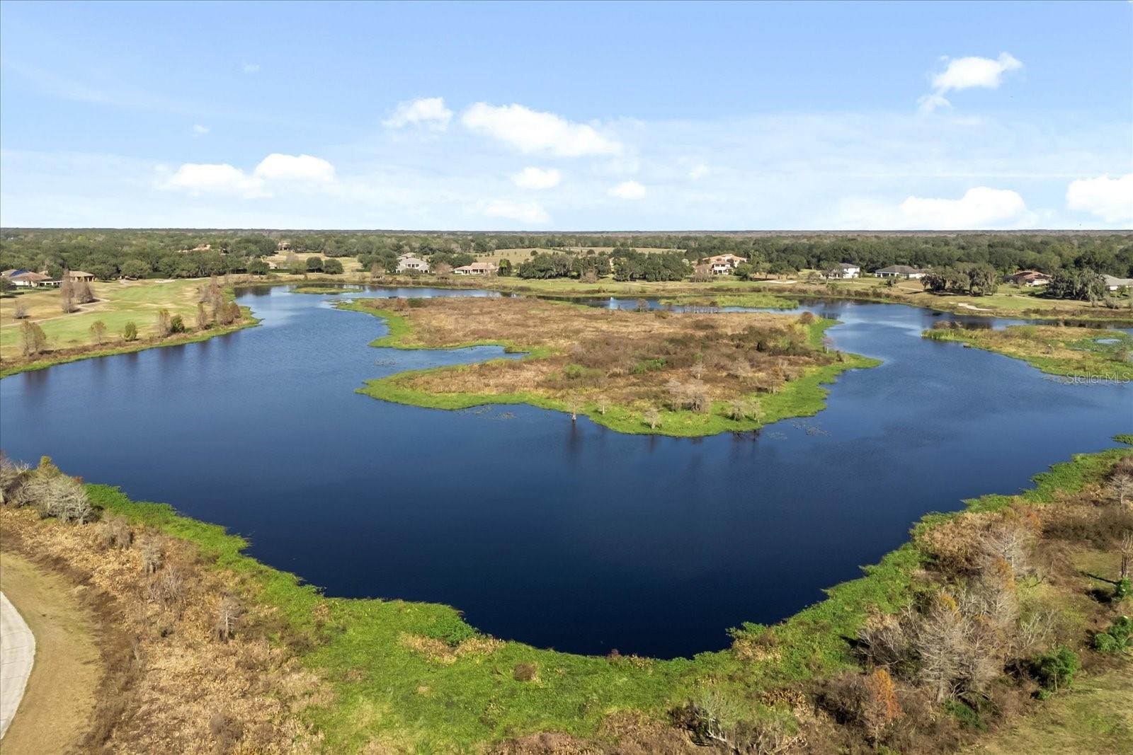 25920 ROUNDABOUT PT, SORRENTO, FL, 32776