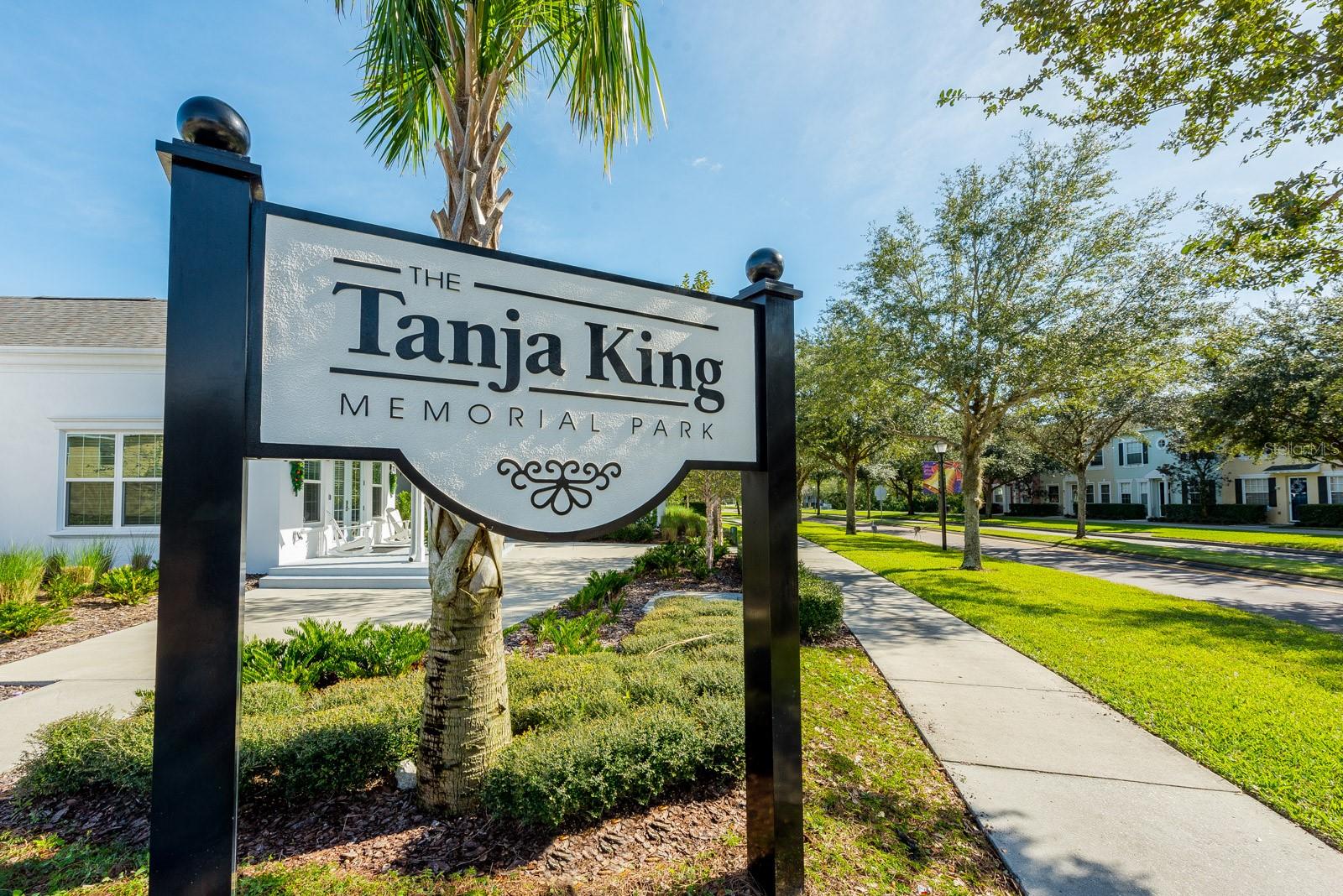 13805 TEA ROSE DR, ORLANDO, FL, 32828