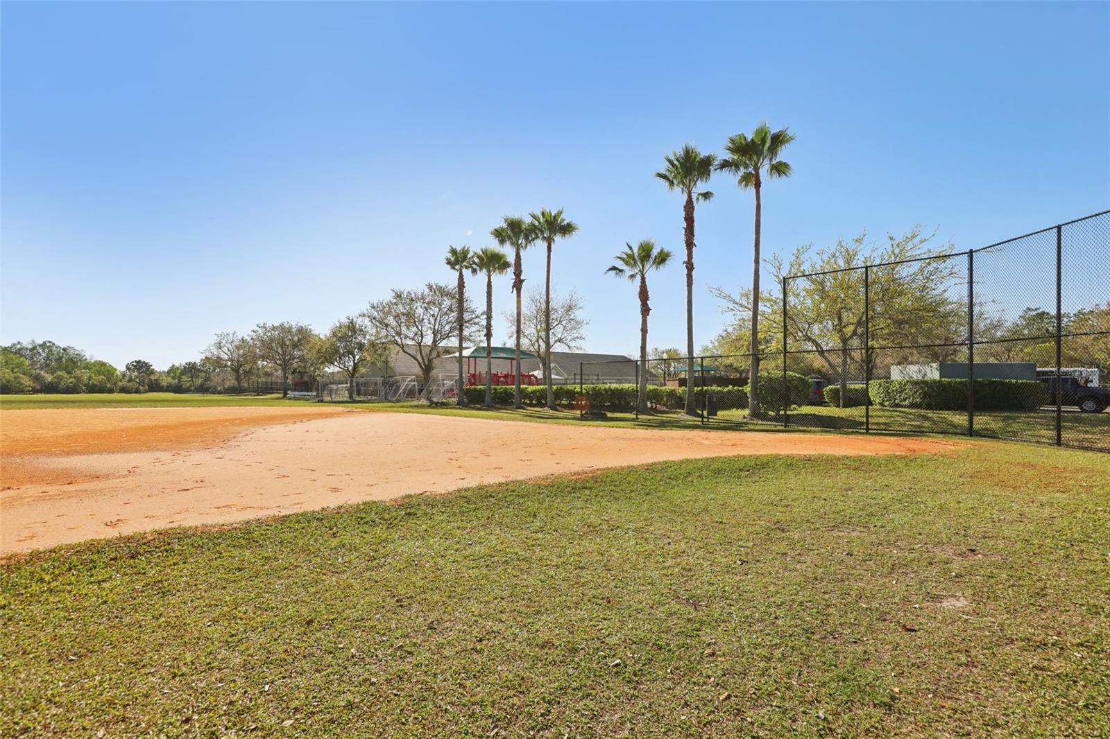 13805 TEA ROSE DR, ORLANDO, FL, 32828