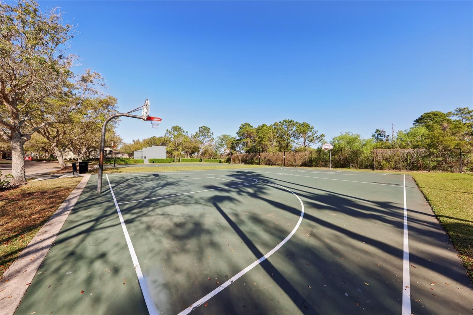 13805 TEA ROSE DR, ORLANDO, FL, 32828