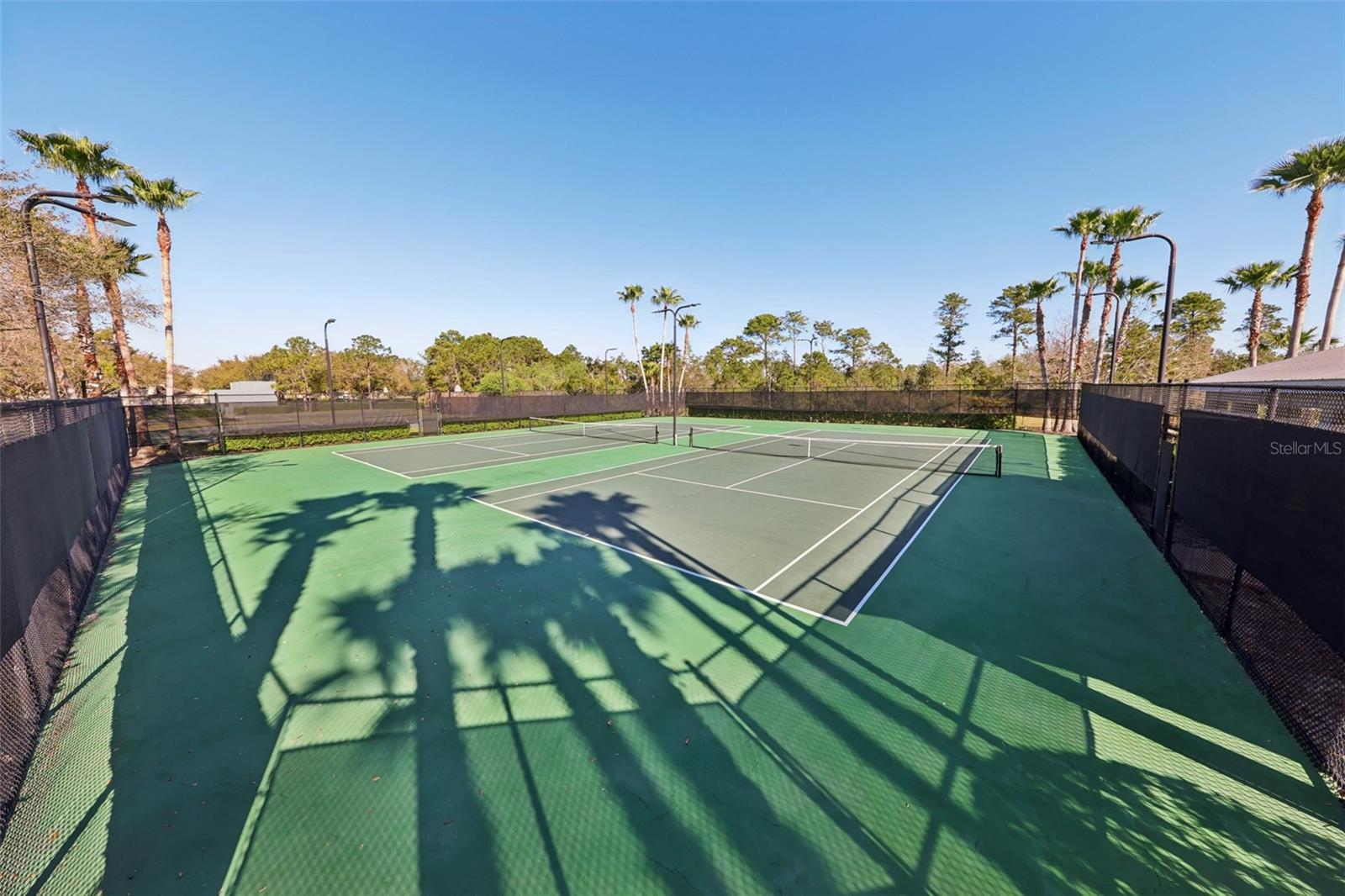 13805 TEA ROSE DR, ORLANDO, FL, 32828