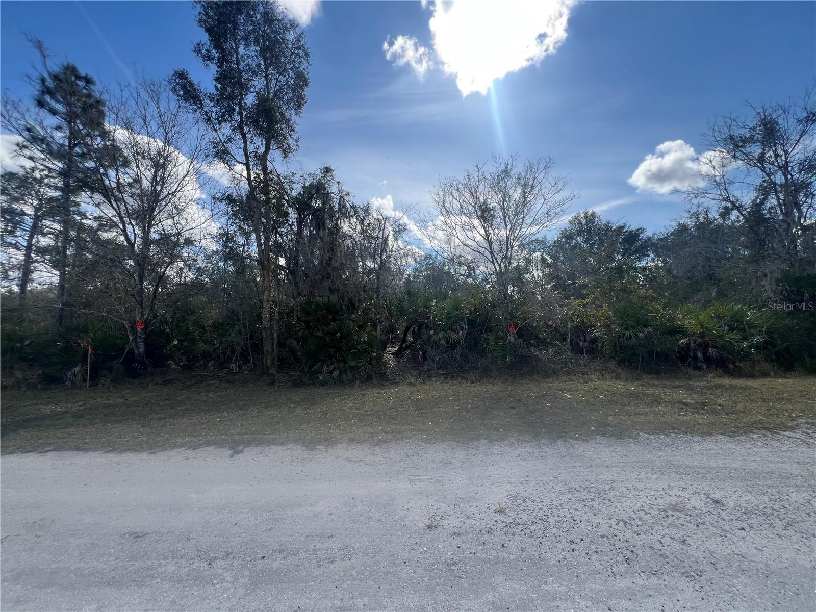 SILVER PALM DR, INDIAN LAKE ESTATES, FL, 33855