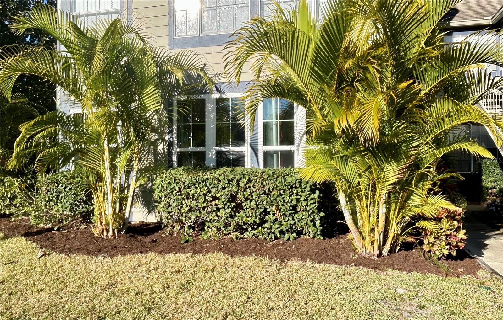 936 BIRMINGHAM CT #106, LAKE MARY, FL, 32746