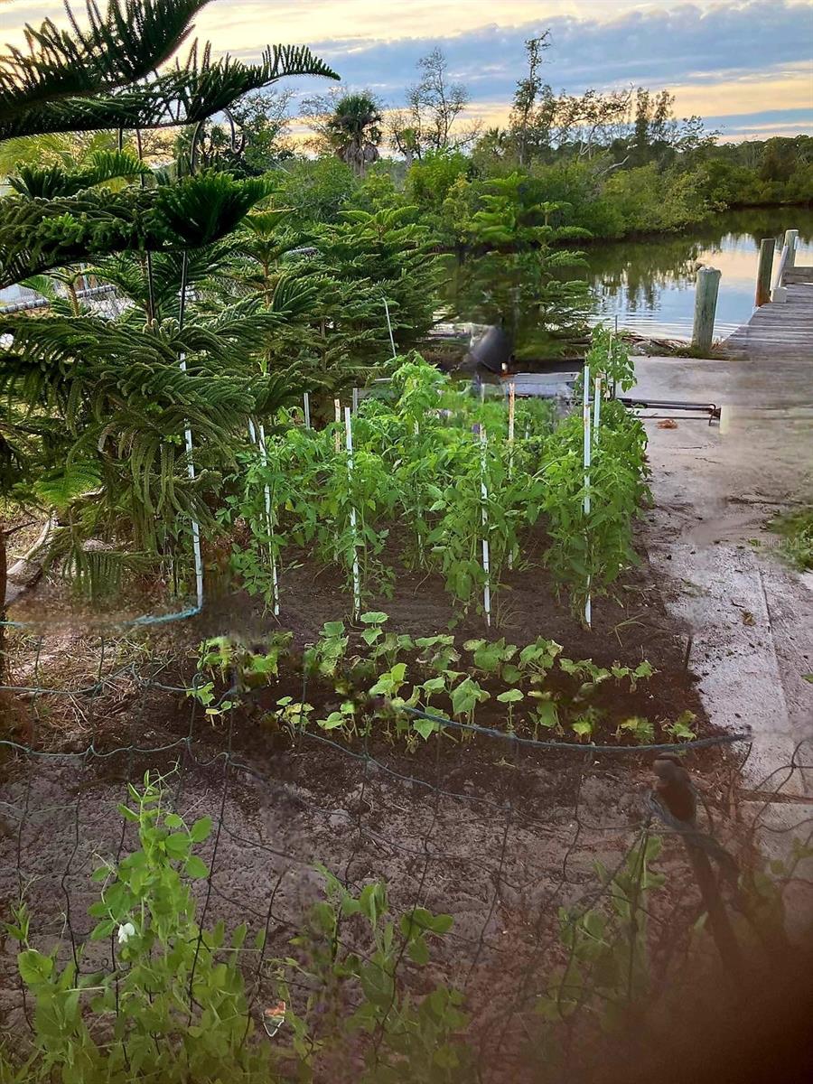 517 RAVENNA ST N, NOKOMIS, FL, 34275