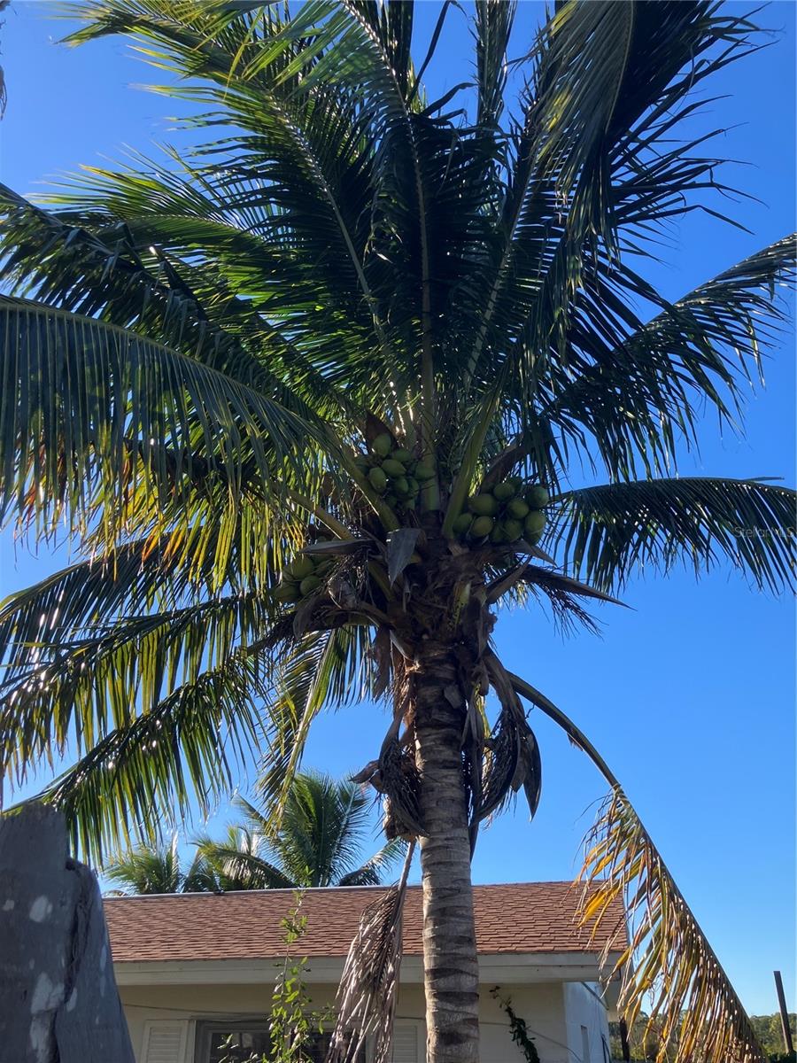 517 RAVENNA ST N, NOKOMIS, FL, 34275