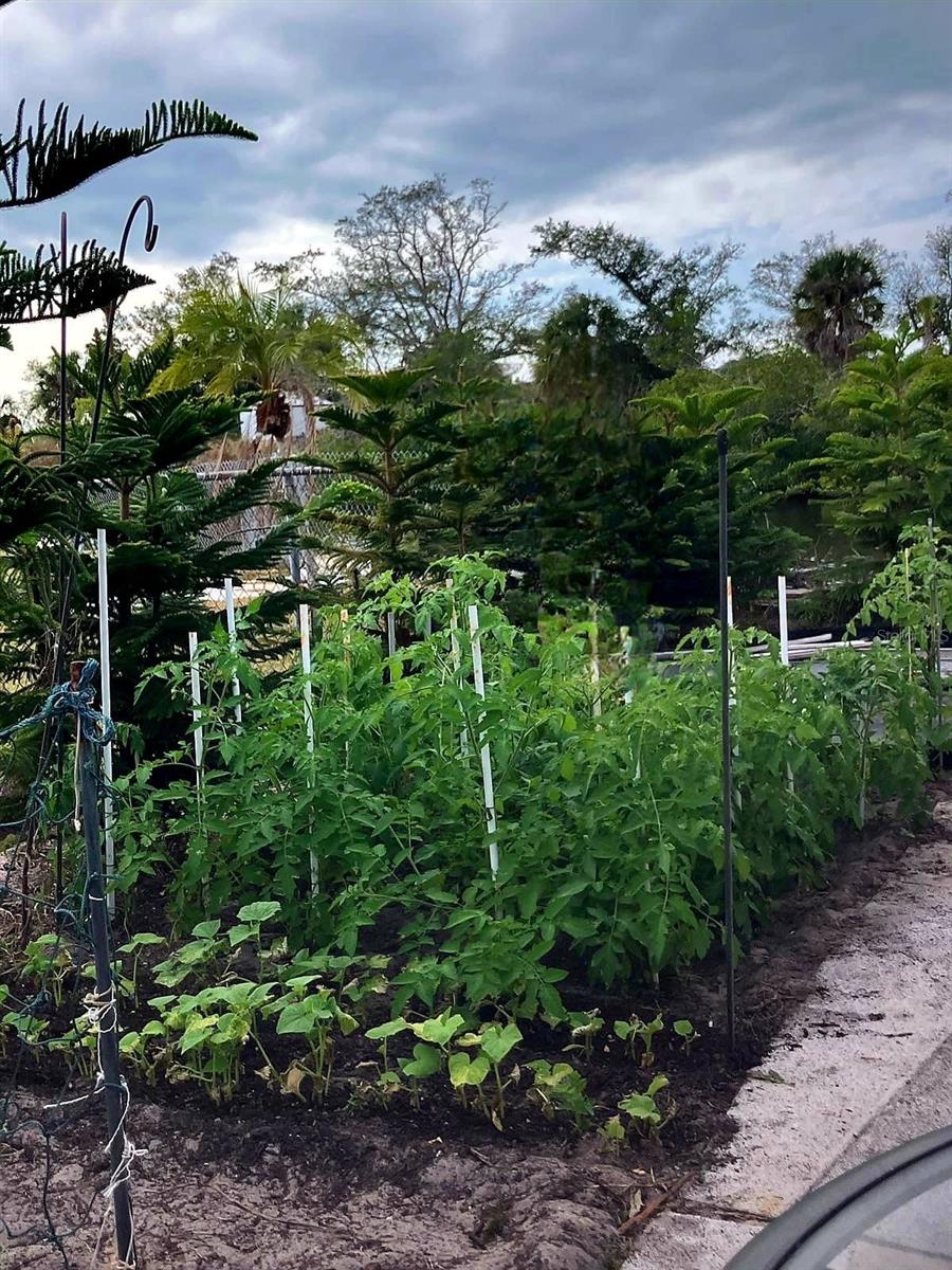 517 RAVENNA ST N, NOKOMIS, FL, 34275