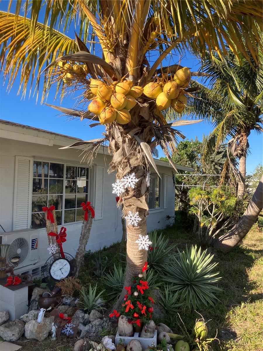 517 RAVENNA ST N, NOKOMIS, FL, 34275