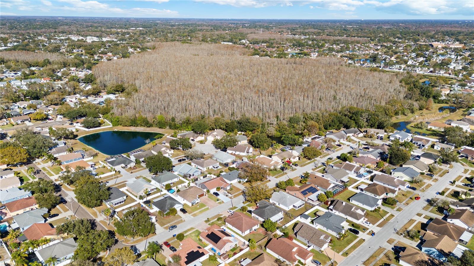 5927 TAYWOOD DR, TAMPA, FL, 33624