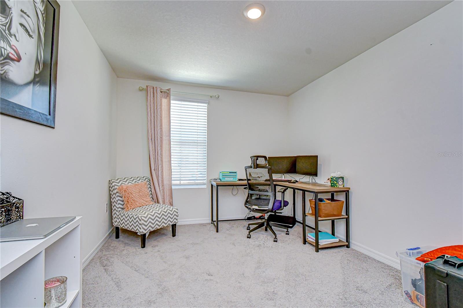 11906 DOWNY BIRCH DR, RIVERVIEW, FL, 33569