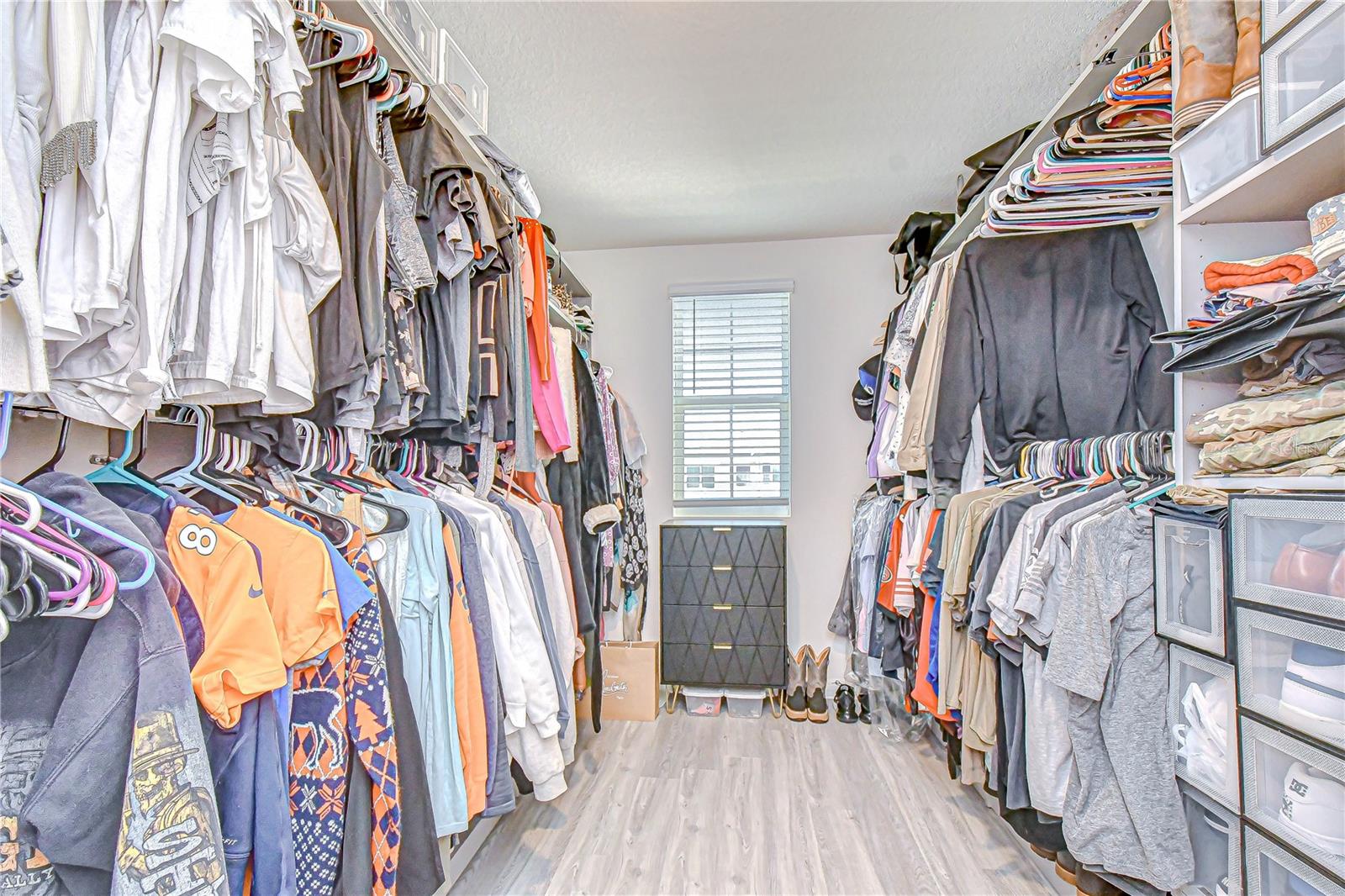 11906 DOWNY BIRCH DR, RIVERVIEW, FL, 33569