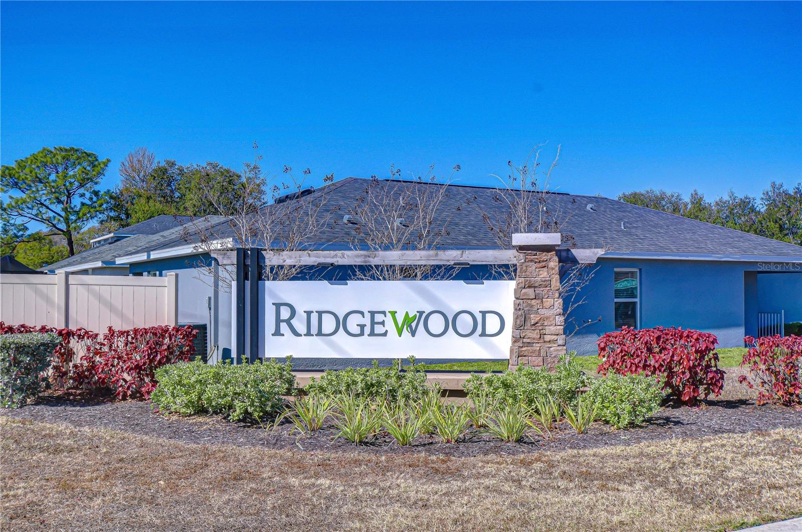 11906 DOWNY BIRCH DR, RIVERVIEW, FL, 33569