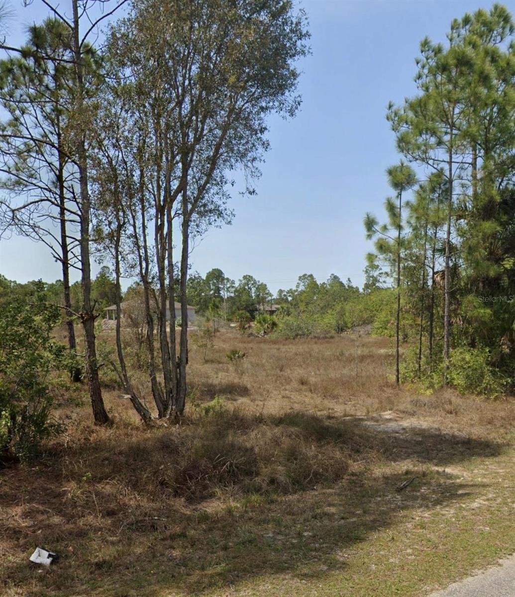 919 EUCLID AVE, LEHIGH ACRES, FL, 33972